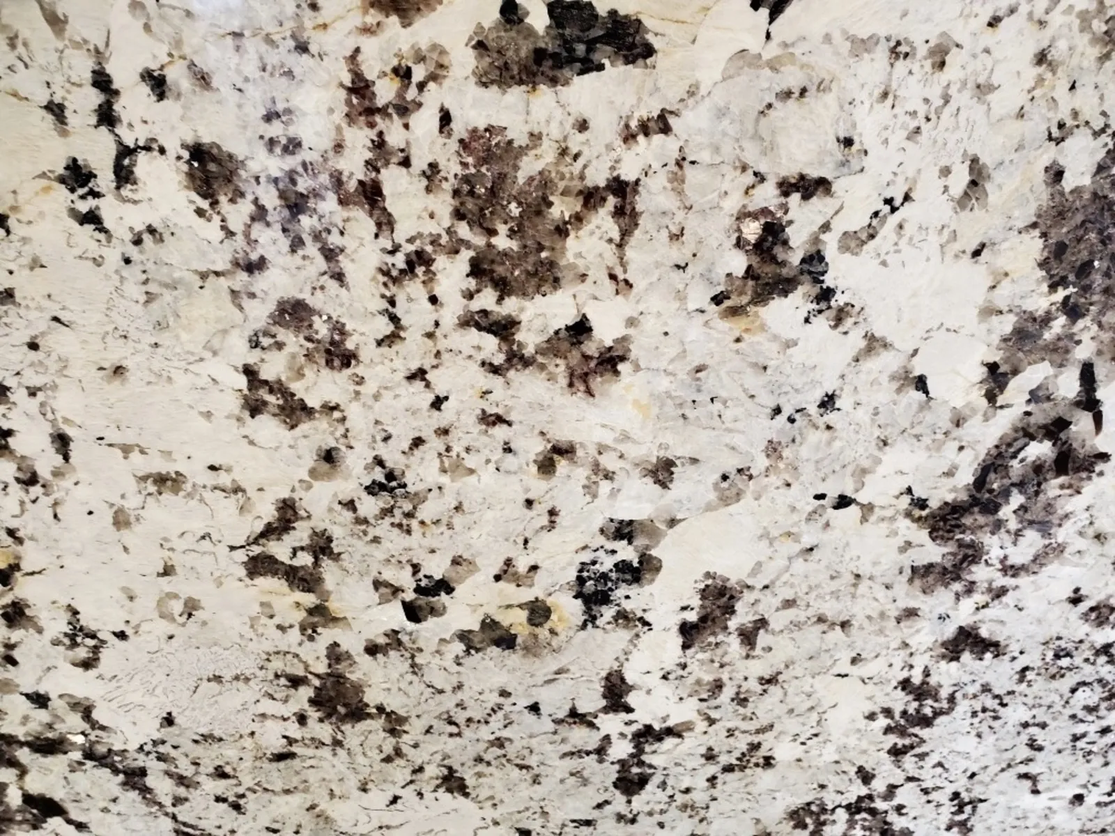 Closeup image of Vintage Cream Granite countertop slab