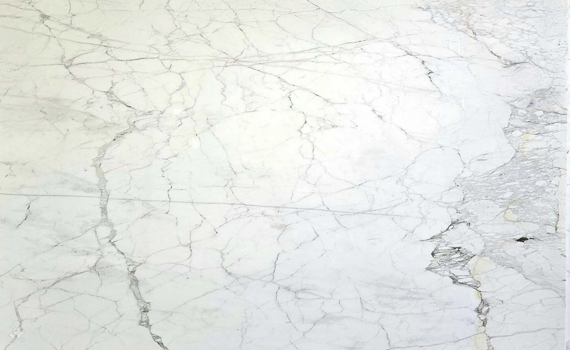 Closeup image of Calacatta Caldia White Marble countertop slab