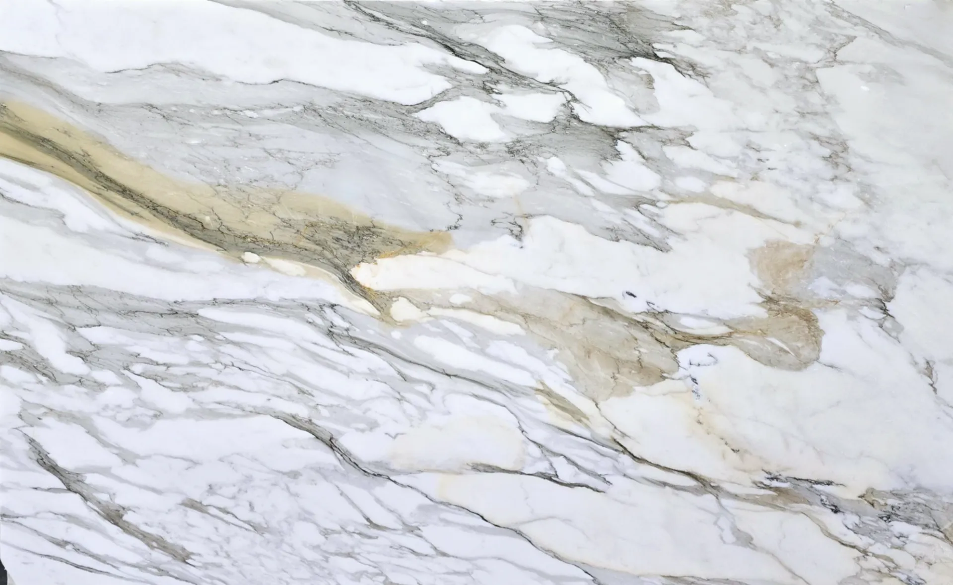 Closeup image of Calacatta Macchia Vecchia White Marble countertop slab