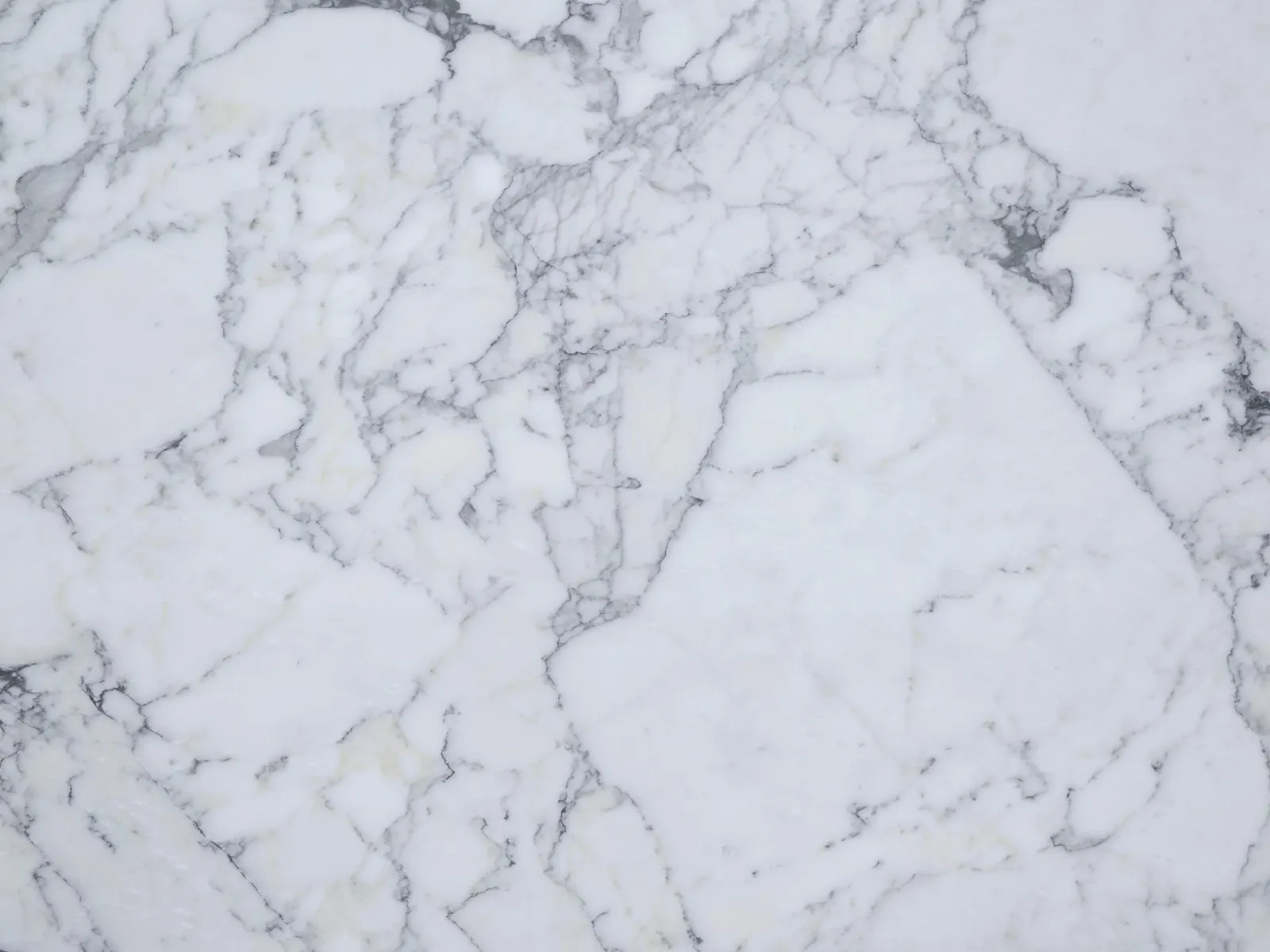 Closeup image of Calacatta Vagli Wow White Marble countertop slab