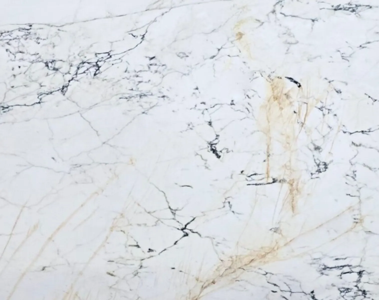 Closeup image of Paonazzo Lux White Marble countertop slab