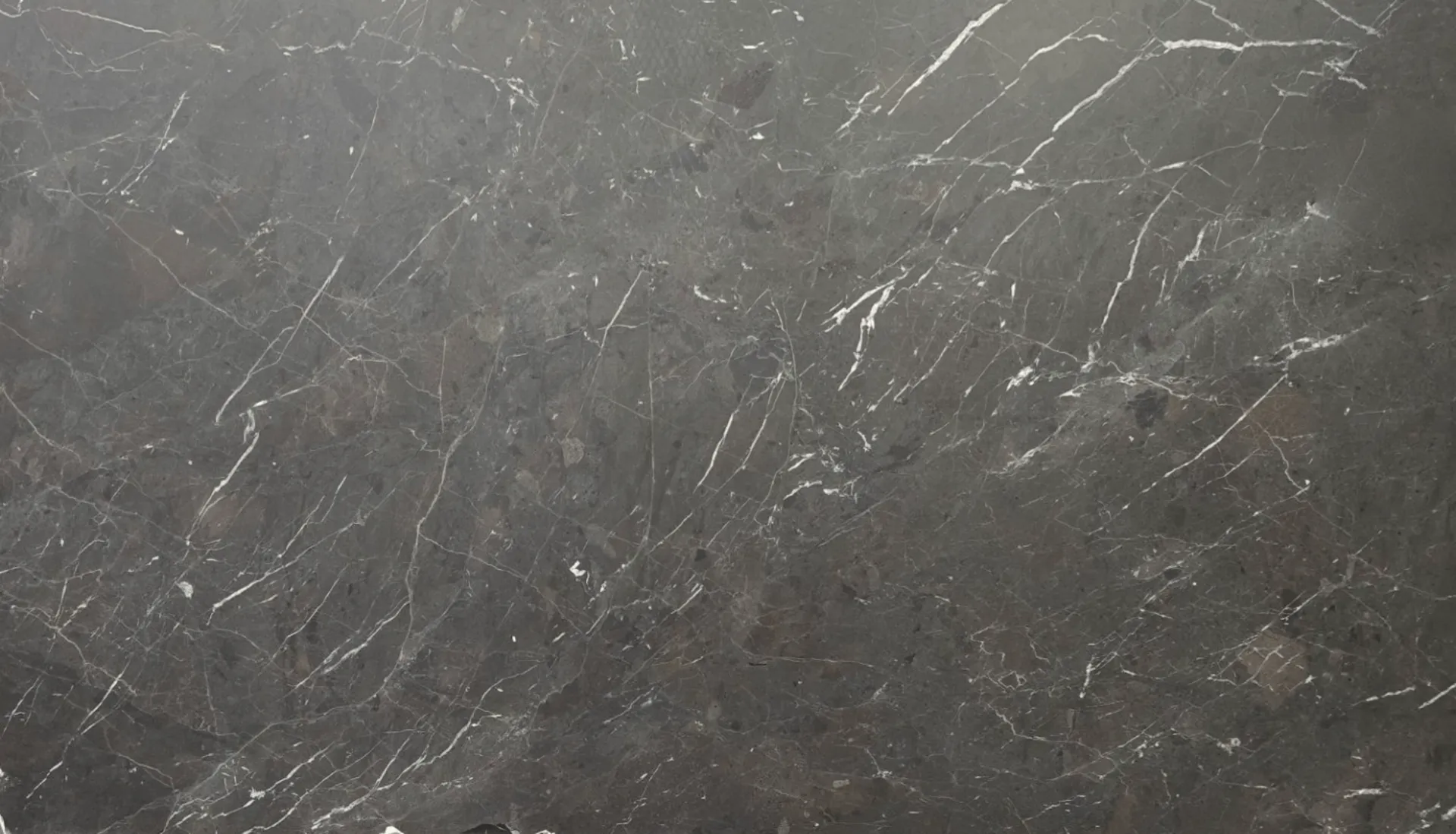 Closeup image of Breccia Imperiale Grey Quartzite countertop slab