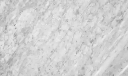 Closeup image of Carrara White Extra White Marble countertop slab Stone Countertop