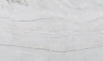 Closeup image of Coastal White Grey Quartzite countertop slab