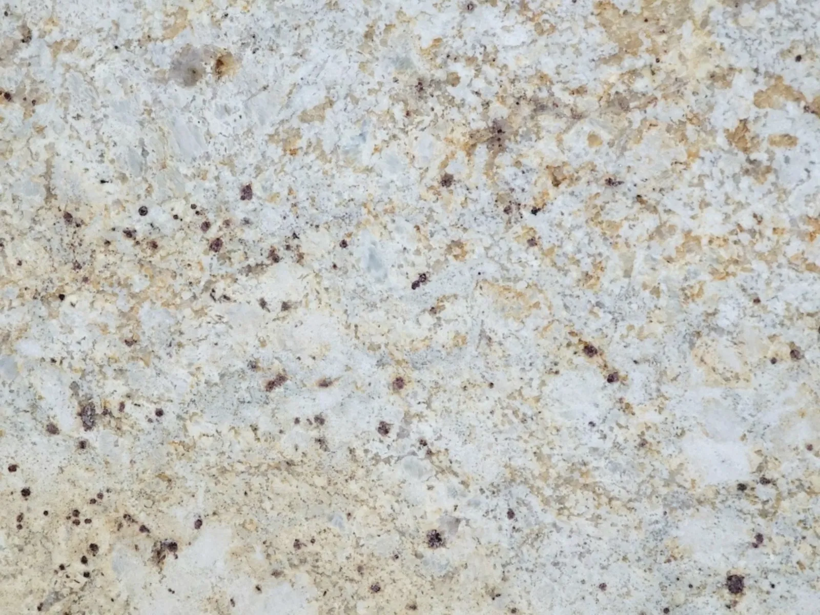 Closeup image of Colonial Gold Cream Granite countertop slab