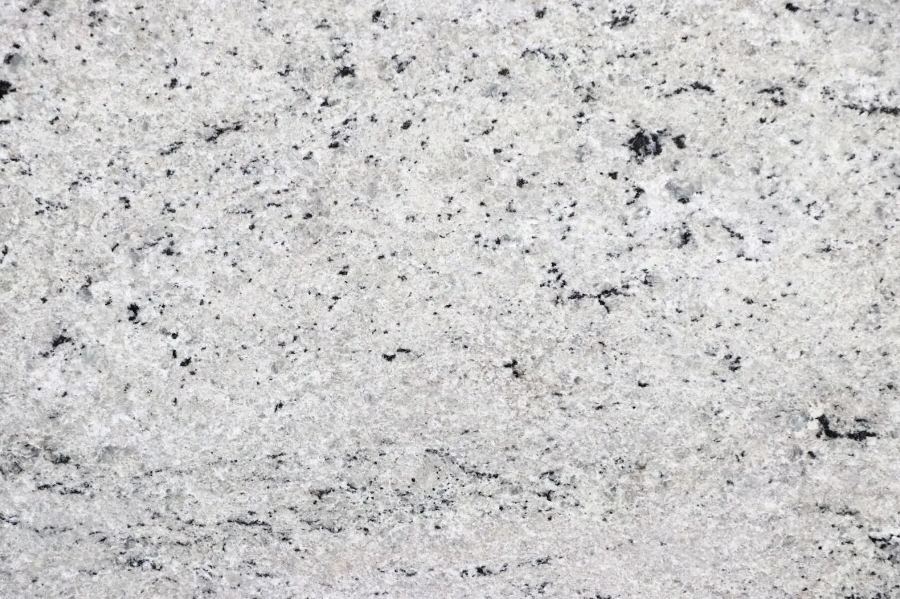 Closeup image of Colonial White Grey Granite countertop slab