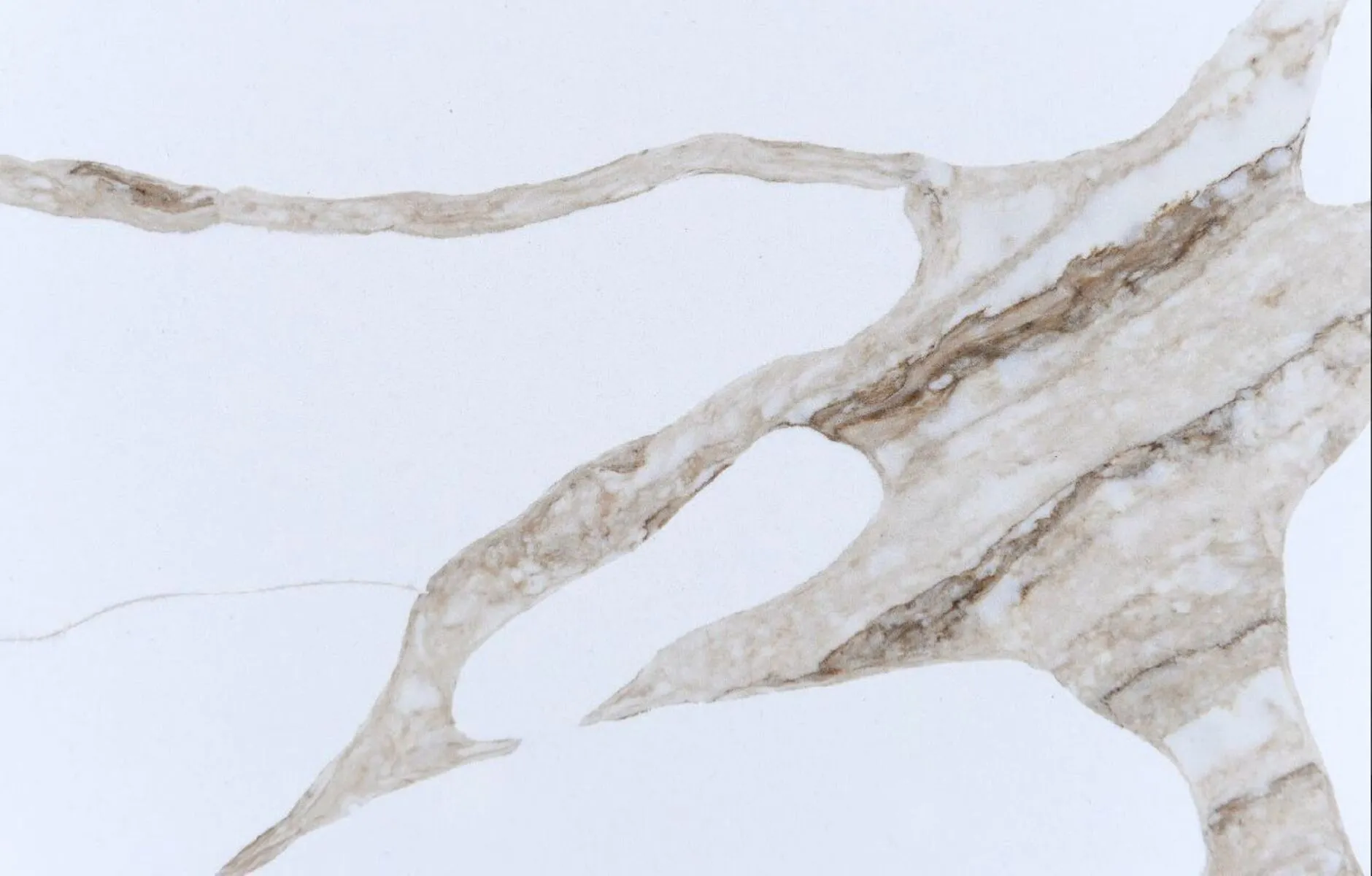 Closeup image of CRS Quartz Calacatta Lioro Super Jumbo White Quartz countertop slab