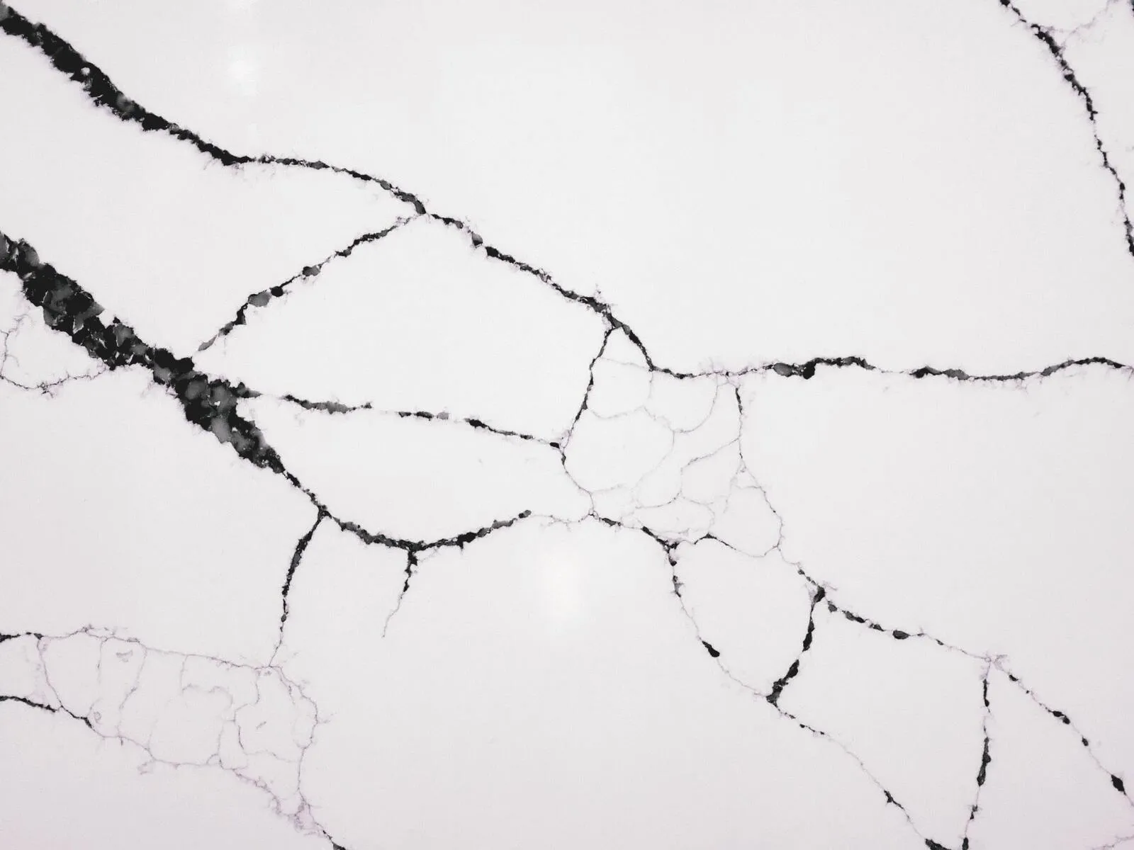 Closeup image of CRS Quartz Calacatta Noir White Quartz countertop slab