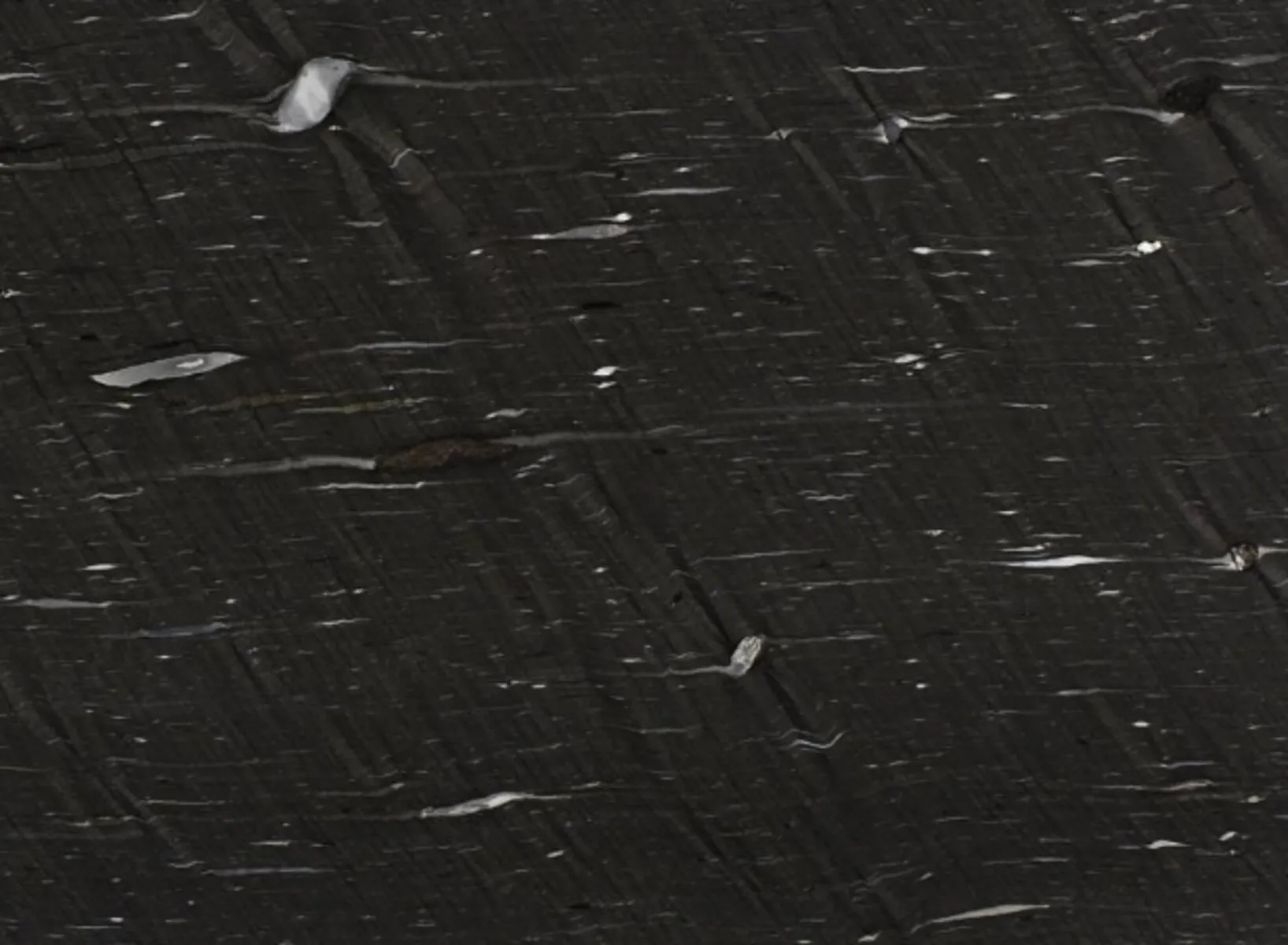 Closeup image of Cygnus Black Granite countertop slab