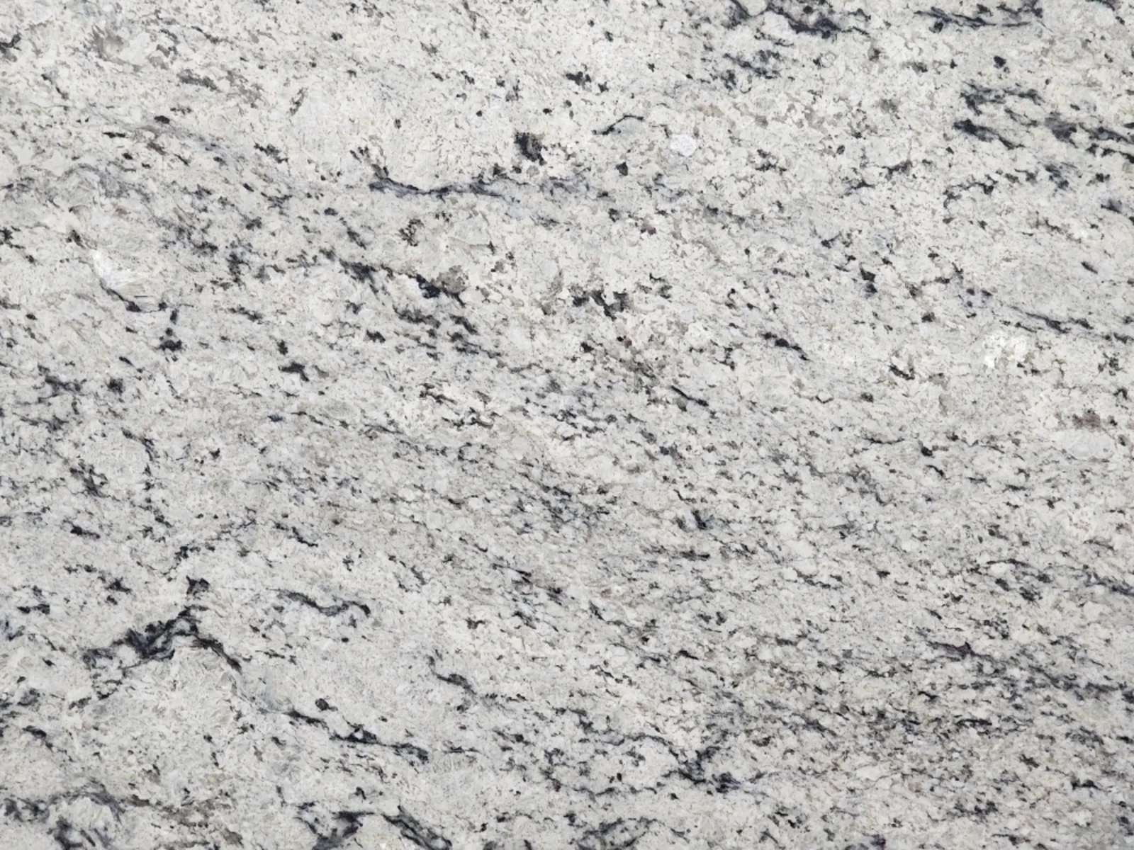 Closeup image of Delicatus Cream Granite countertop slab
