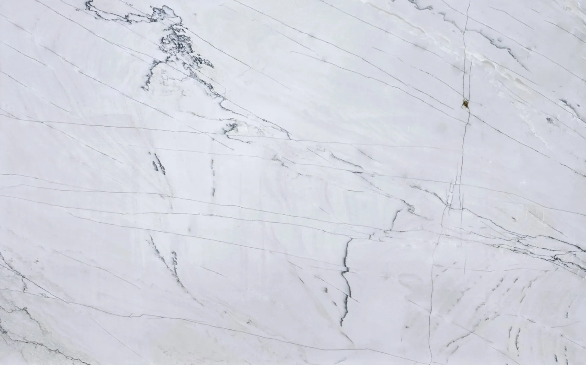 Closeup image of Denali White Quartzite countertop slab