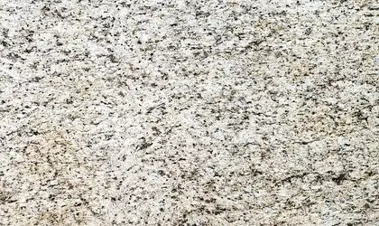 Closeup image of Giallo Ornamental Beige Granite countertop slab
