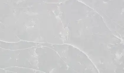 Closeup image of Viatera Bianco Glace Grey Quartz countertop slab
