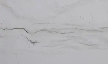 Closeup image of Mont Blanc White Quartzite countertop slab