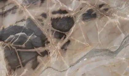 Closeup image of Sephora Beige Quartzite countertop slab