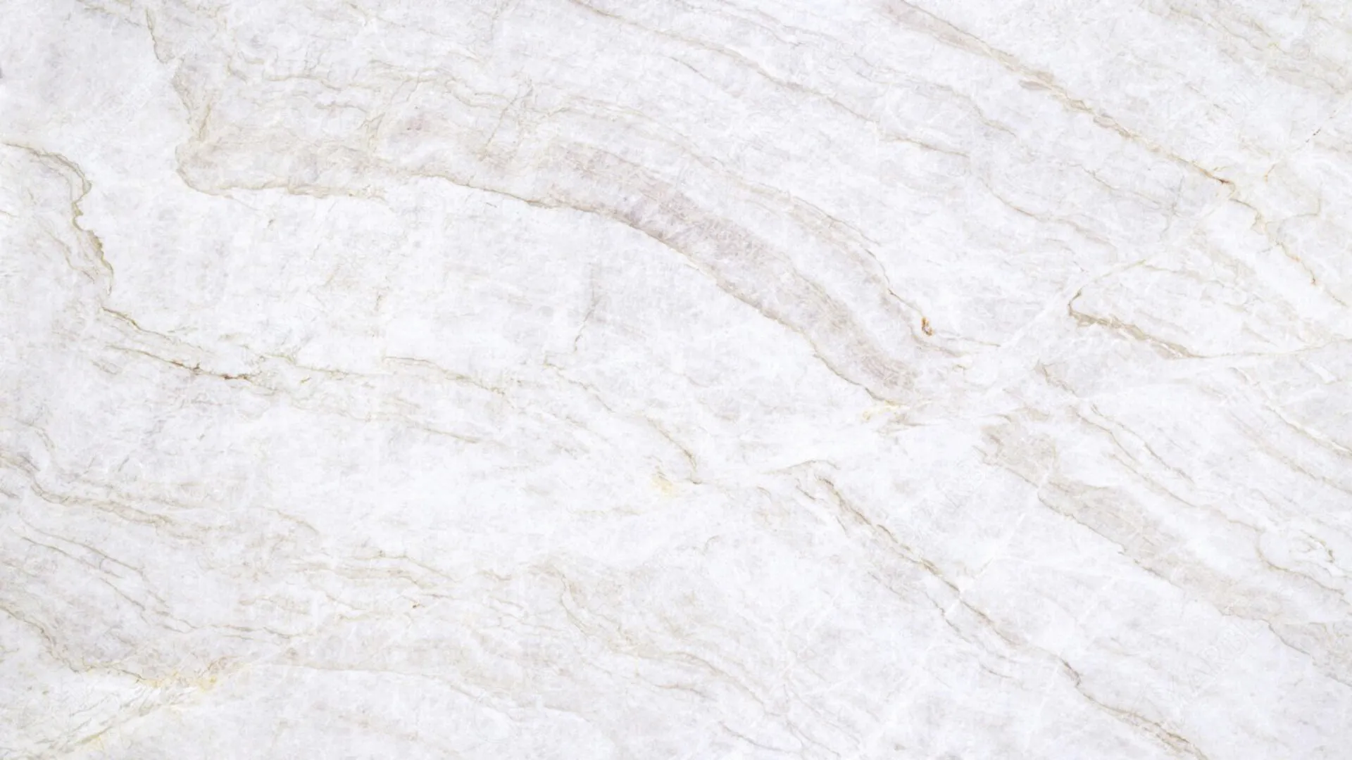 Closeup image of Taj Mahal Extra White Quartzite countertop slab