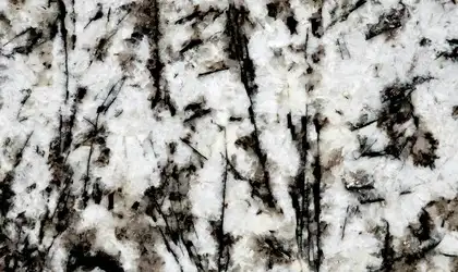 Closeup image of Valhalla White Granite countertop slab Stone Countertop