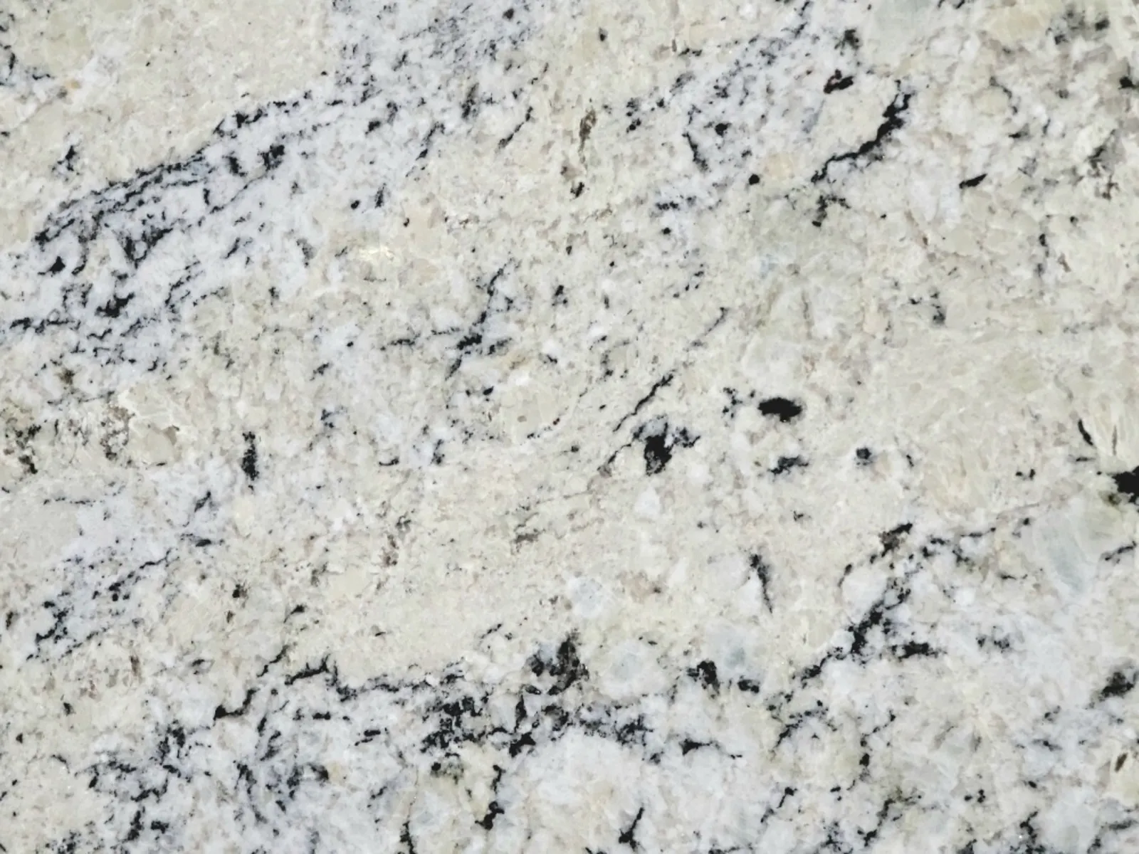 Closeup image of White Ice White Granite countertop slab