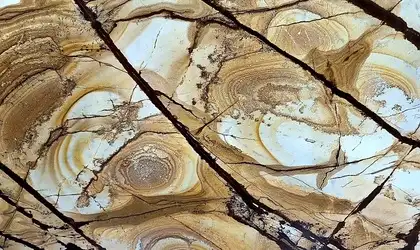 Closeup image of Woodstone Beige Quartzite countertop slab
