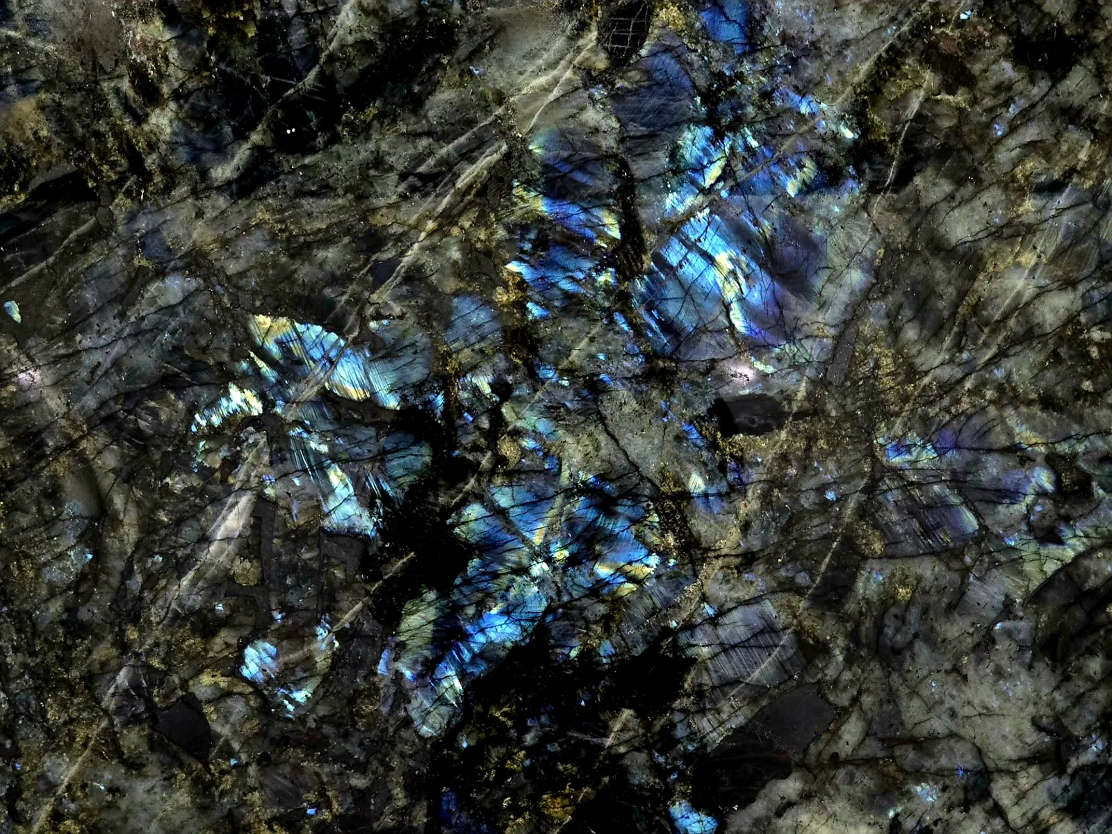 Closeup image of Labradorite Lemurian Black Semi-Precious countertop slab