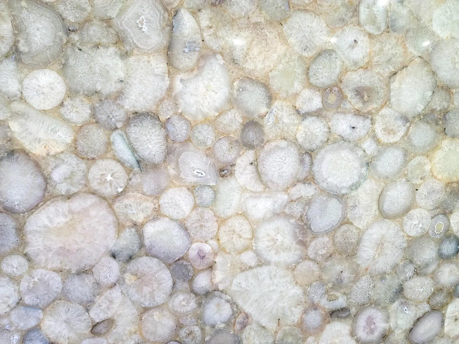 Closeup image of Gold Agate Cream Semi-Precious countertop slab