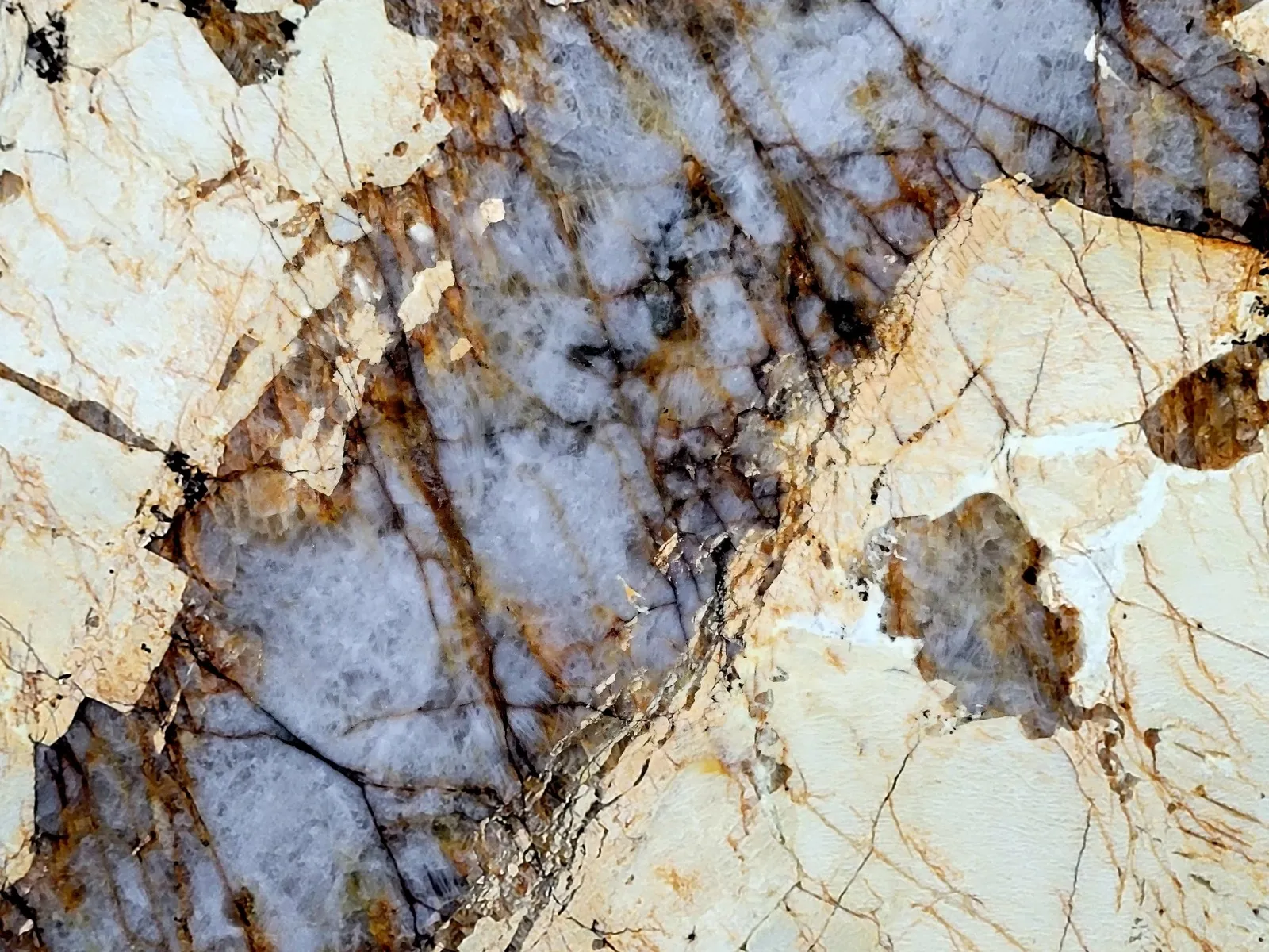 Closeup image of Alpinus Gold (Blanc Du Blanc) Cream Granite countertop slab