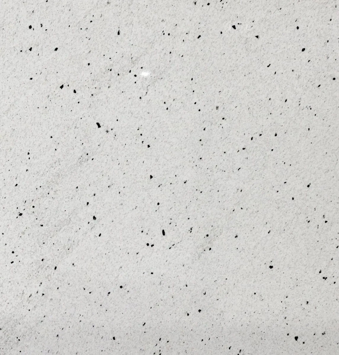 Closeup image of Extreme White Grey Granite countertop slab