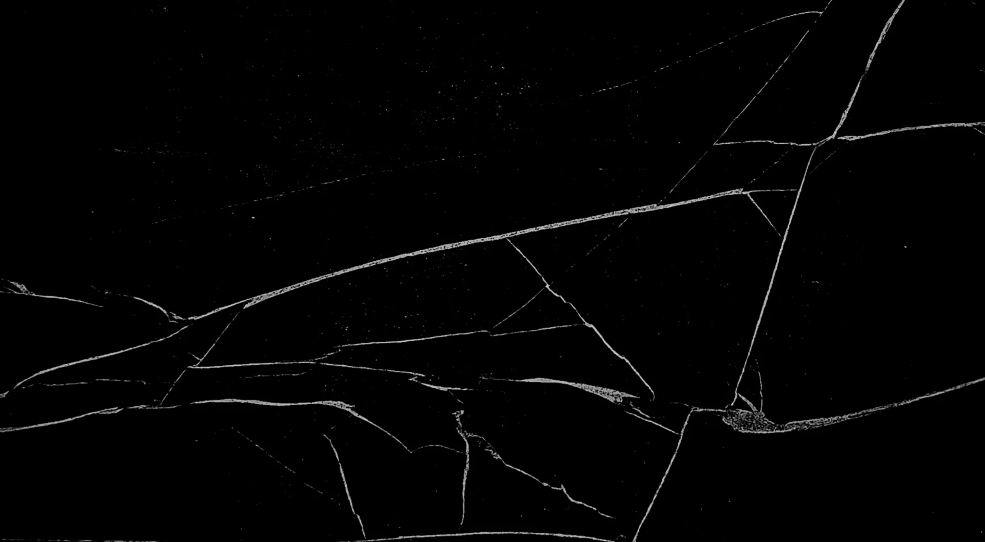 Closeup image of Vincent Black Black Granite countertop slab