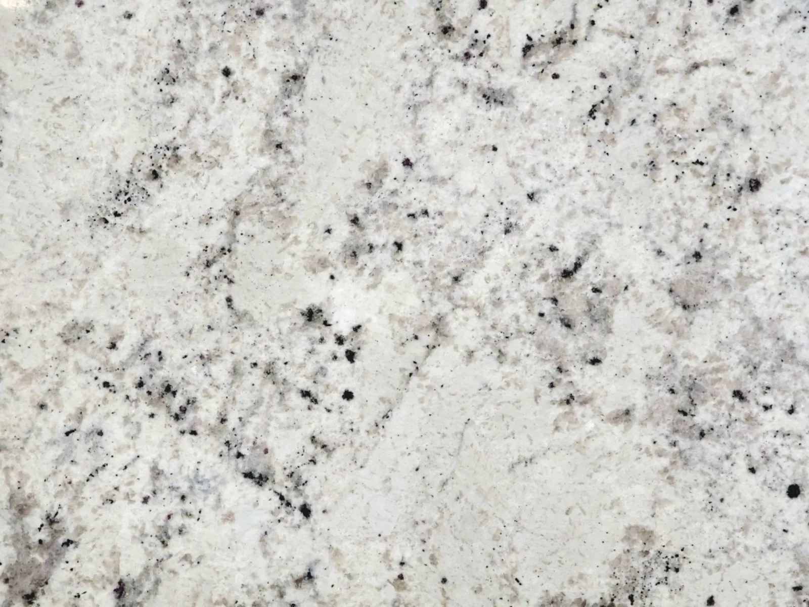 Closeup image of White Galaxy Cream Granite countertop slab