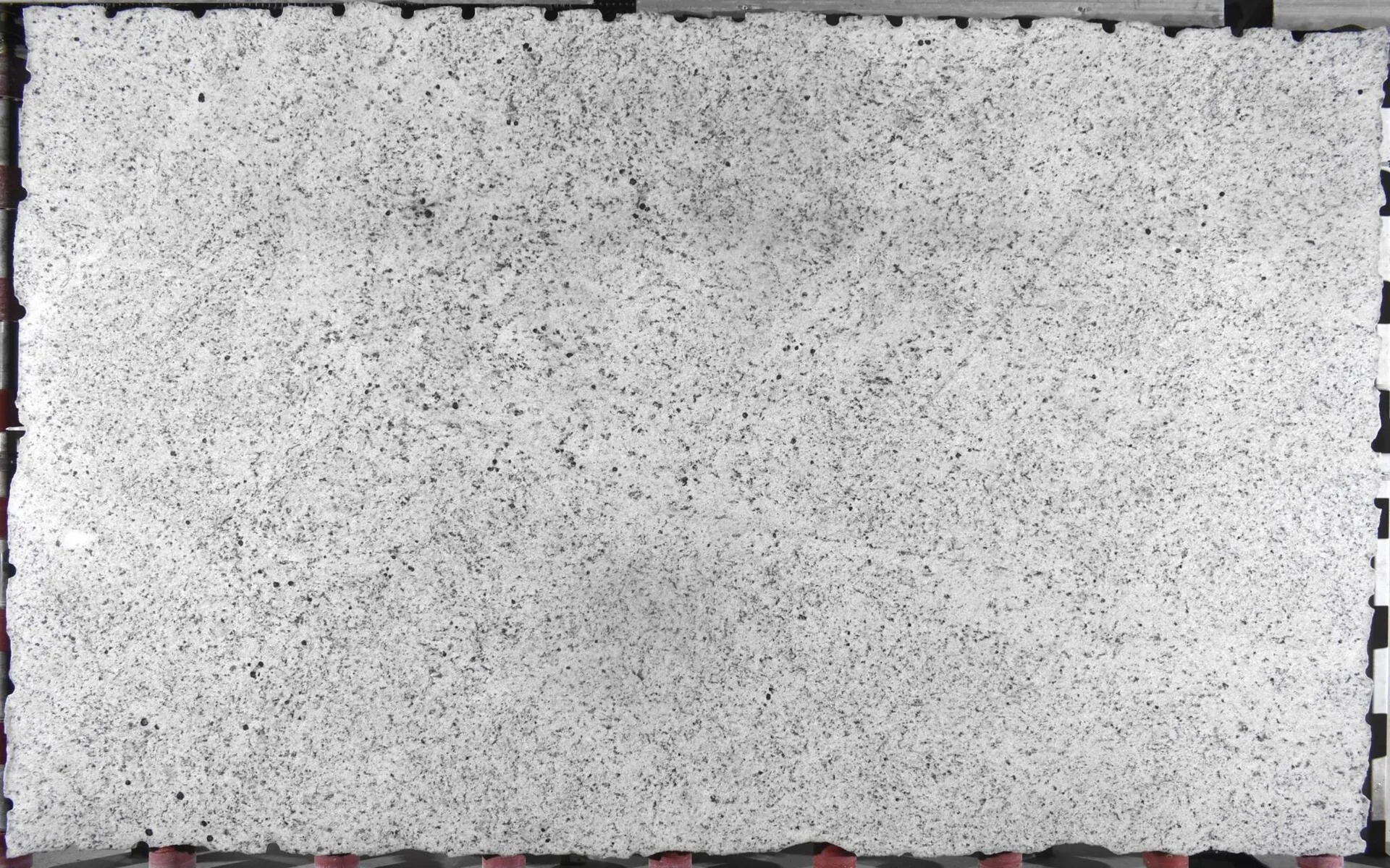 Closeup image of Dallas White Grey Granite countertop slab