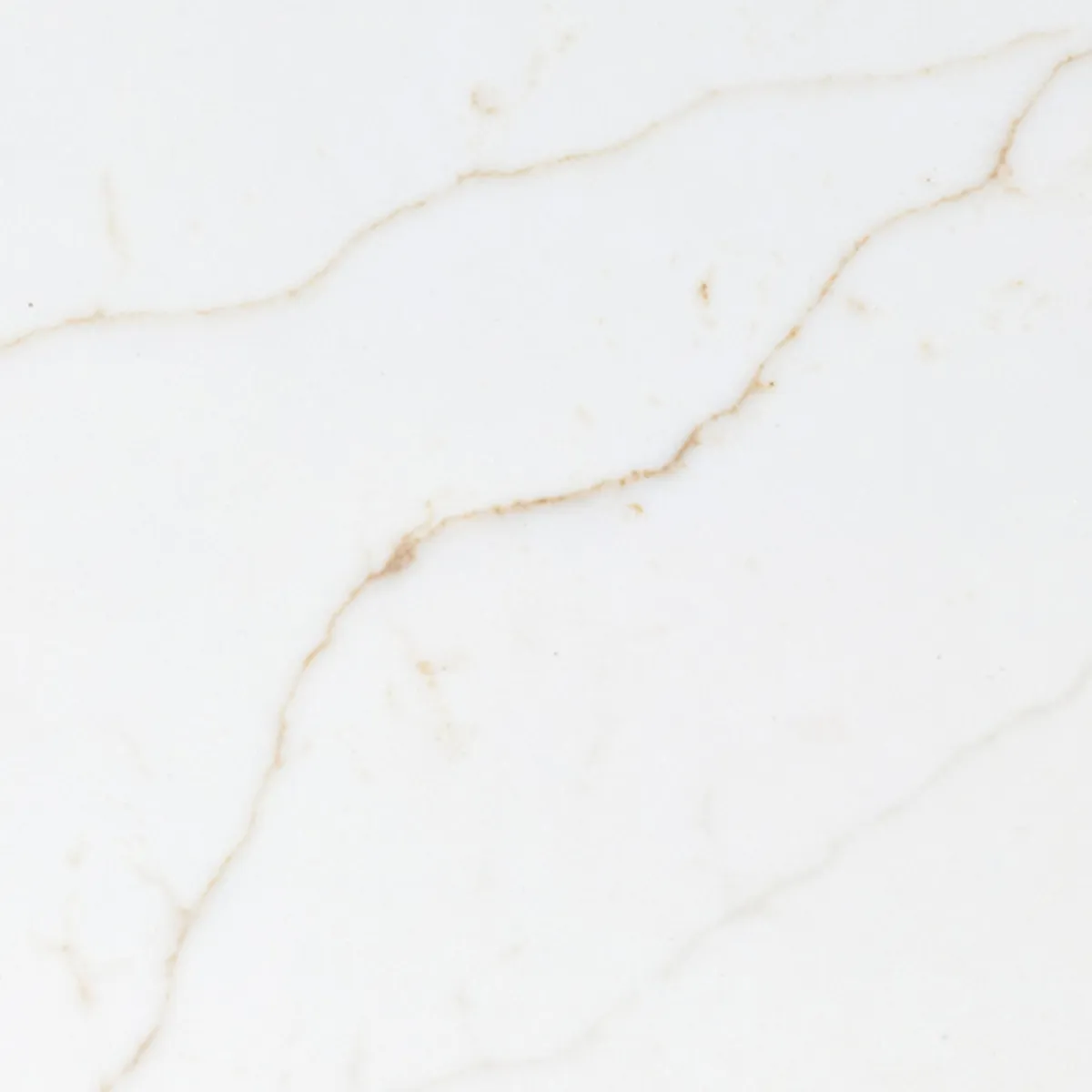 Closeup image of Viatera Delicato White Quartz countertop slab