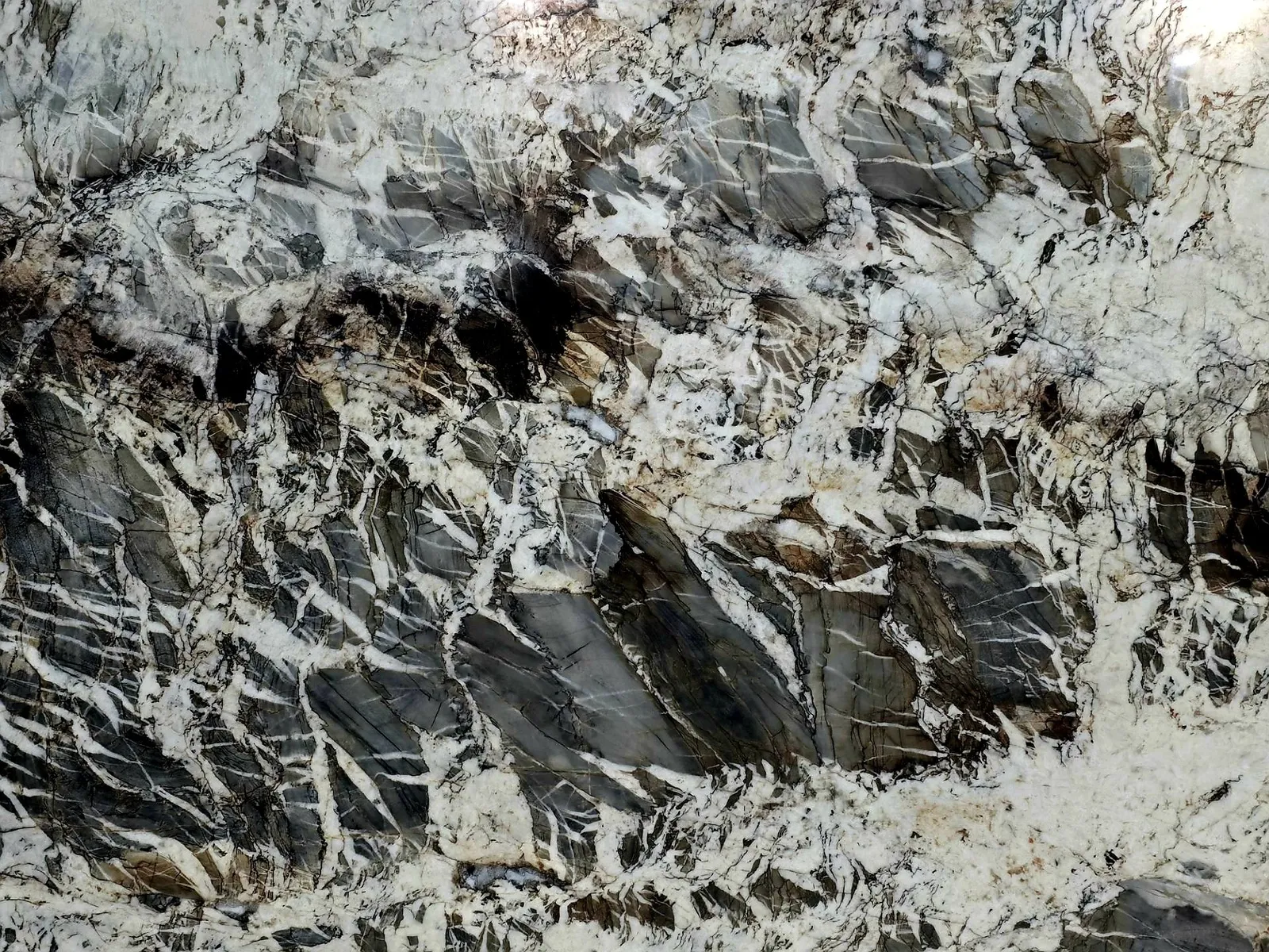 Closeup image of Vittara Crystal Grey Quartzite countertop slab