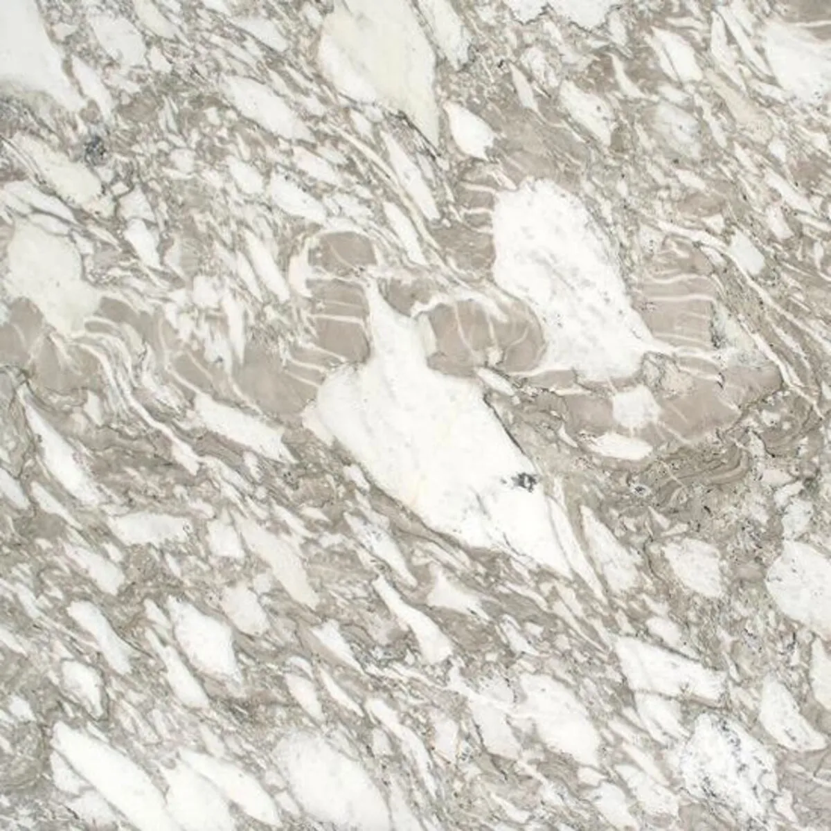 Closeup image of Arabescato Vagli White Marble countertop slab