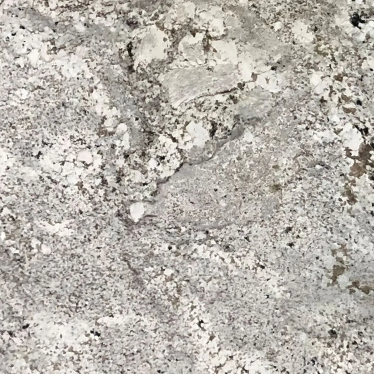 Closeup image of Arctic White White Granite countertop slab