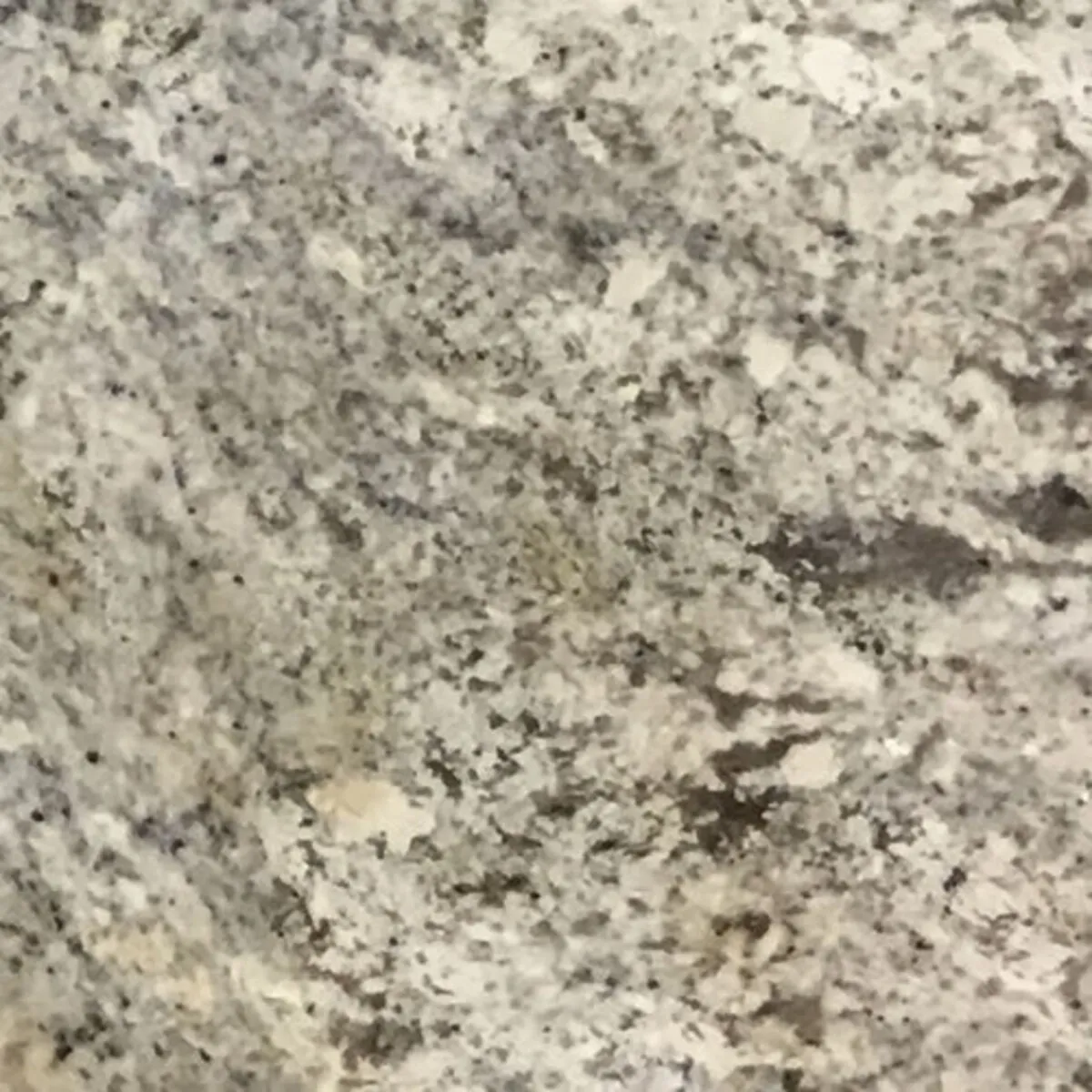 Closeup image of Bahamas White Grey Granite countertop slab