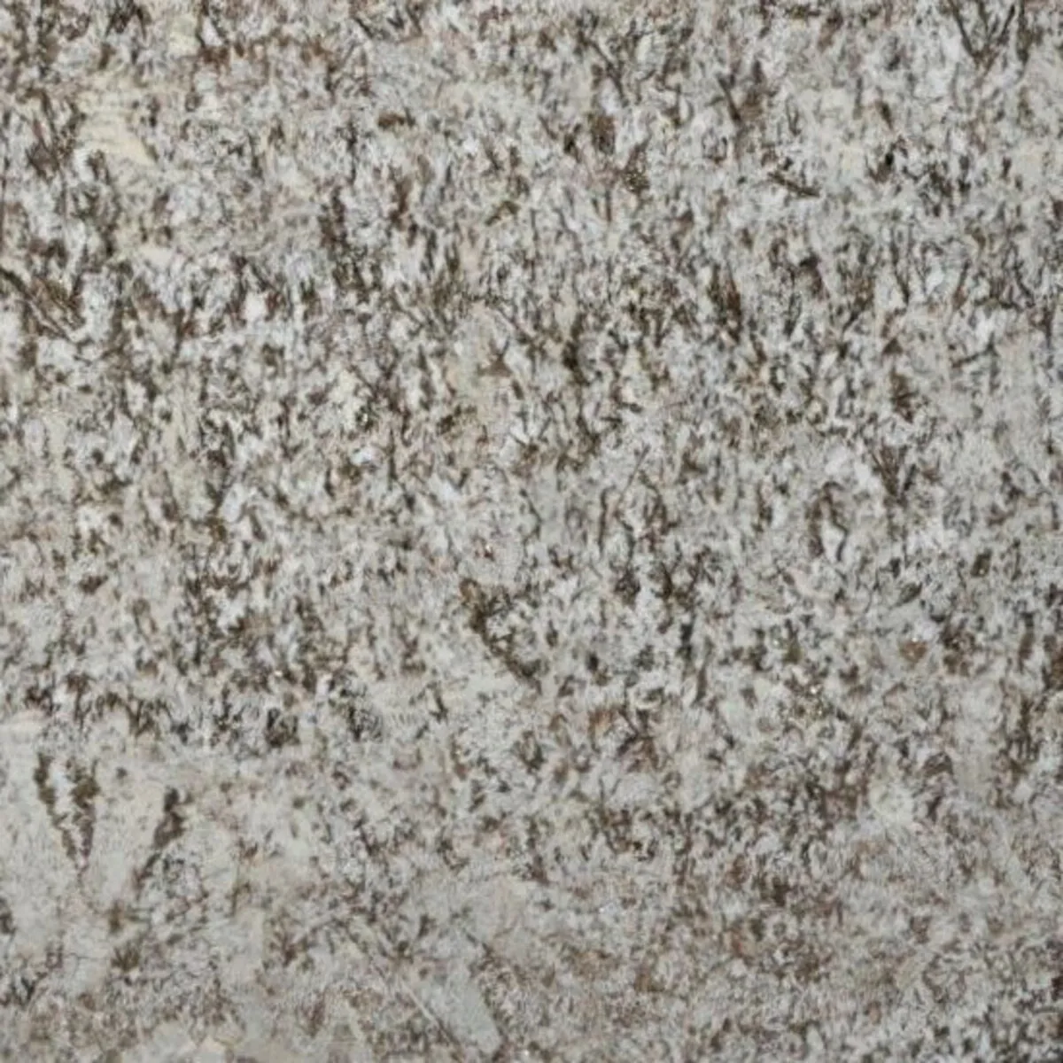 Closeup image of Bianco Antico Cream Granite countertop slab