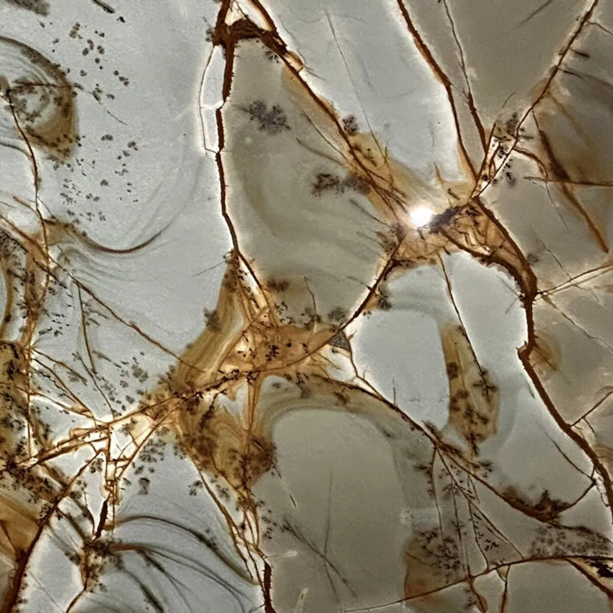 Closeup image of Blue Mare Cream Quartzite countertop slab