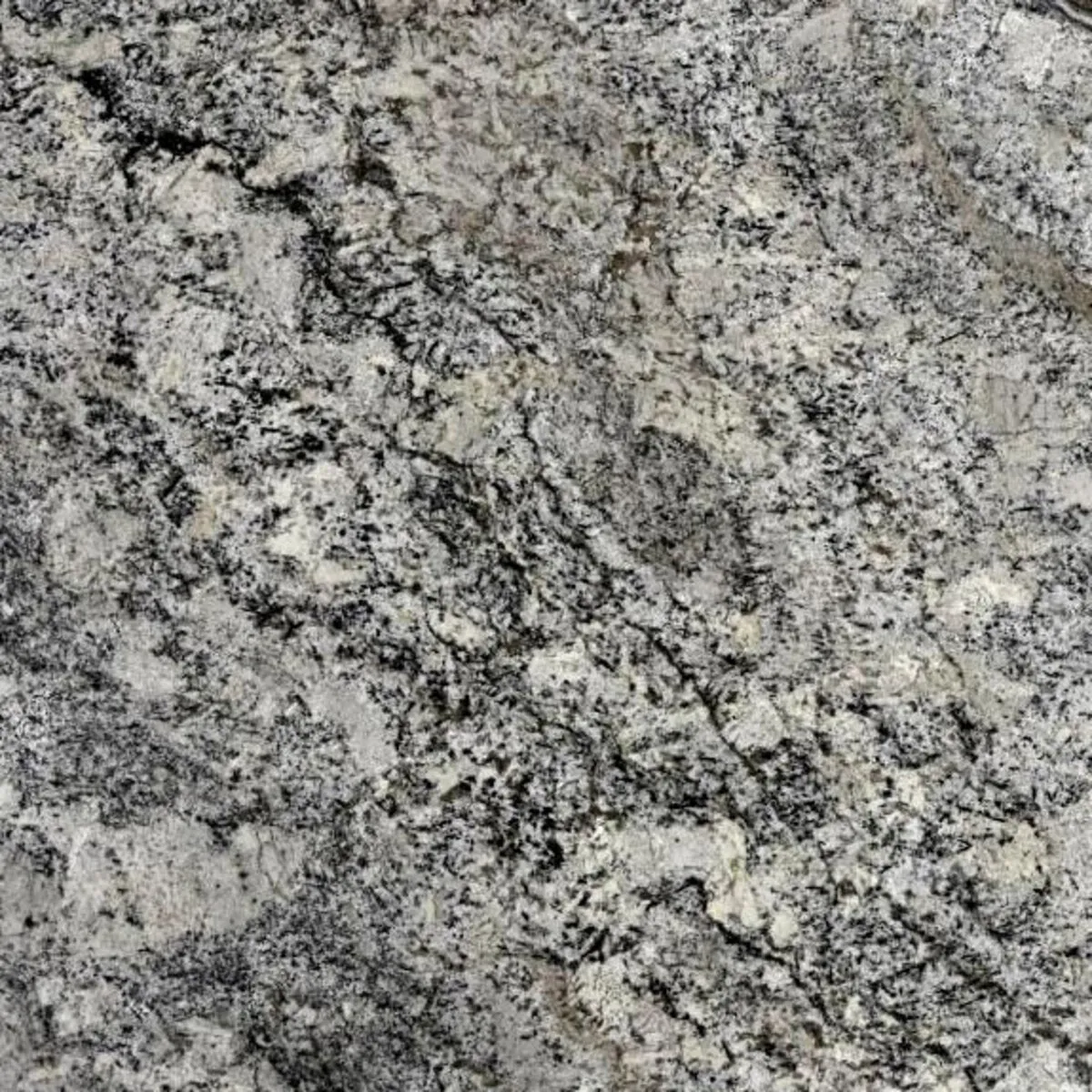 Closeup image of Blue Nile Grey Granite countertop slab