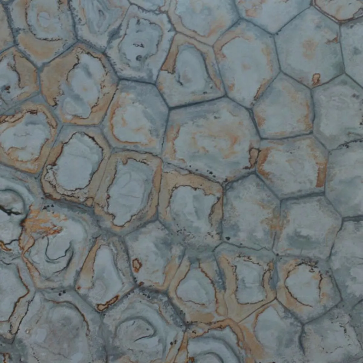 Closeup image of Brazilian Fossil Grey Marble countertop slab