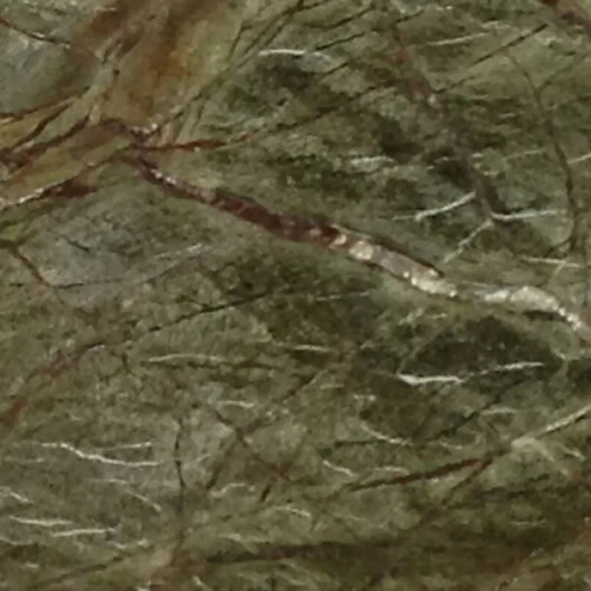 Closeup image of Cafe Forest Green Green Marble countertop slab