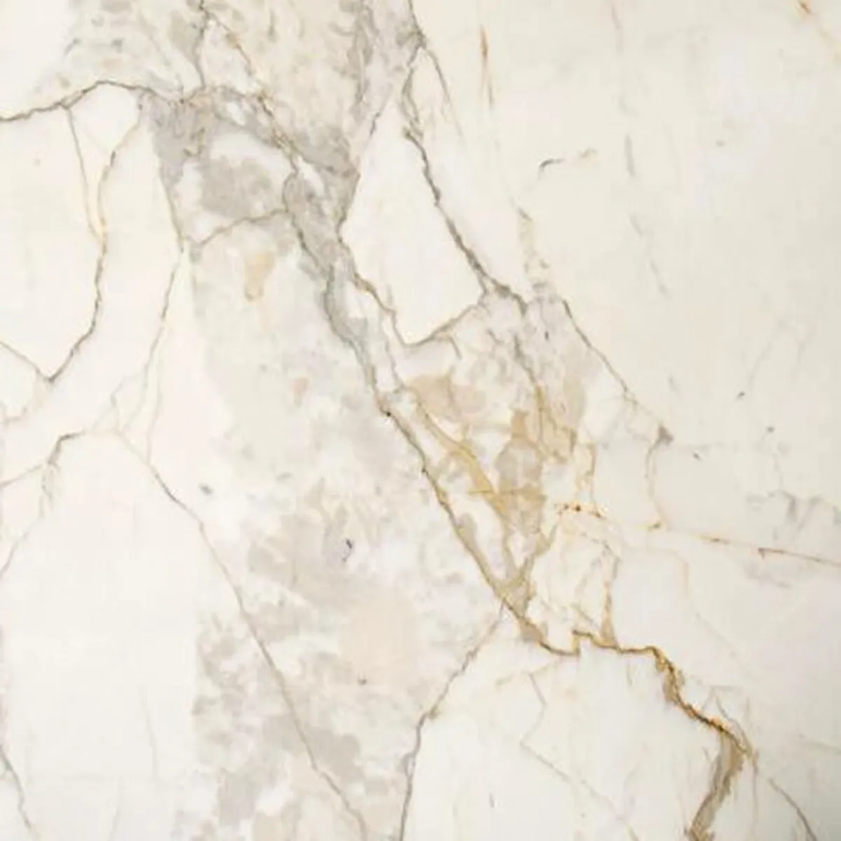 Closeup image of Calacatta Macchia Vecchia Primera Cream Marble countertop slab