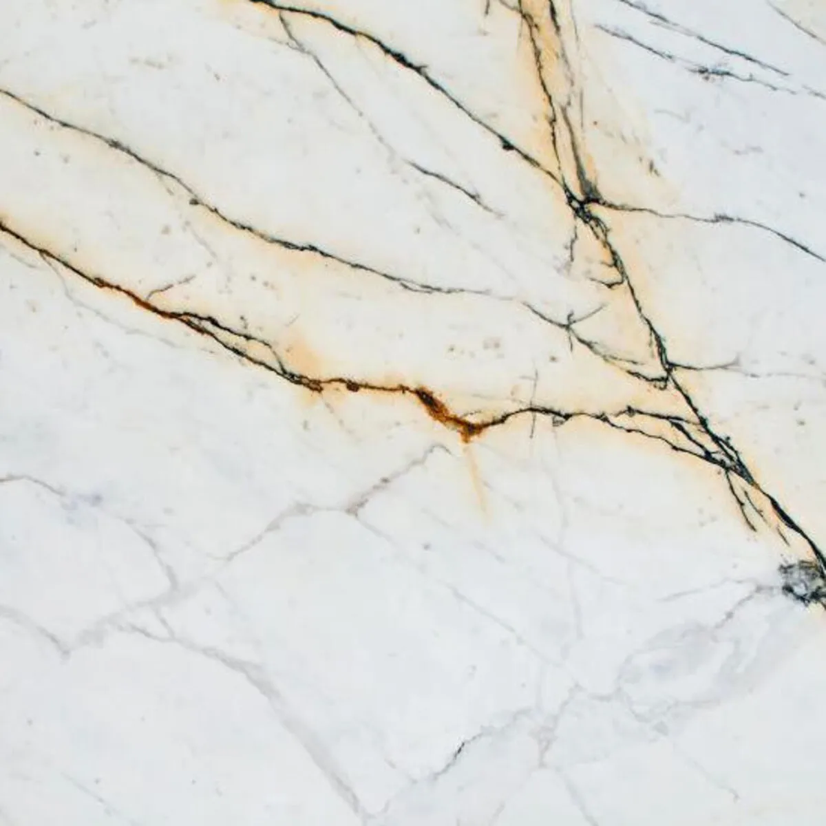Closeup image of Calacatta Paonazzo White Marble countertop slab