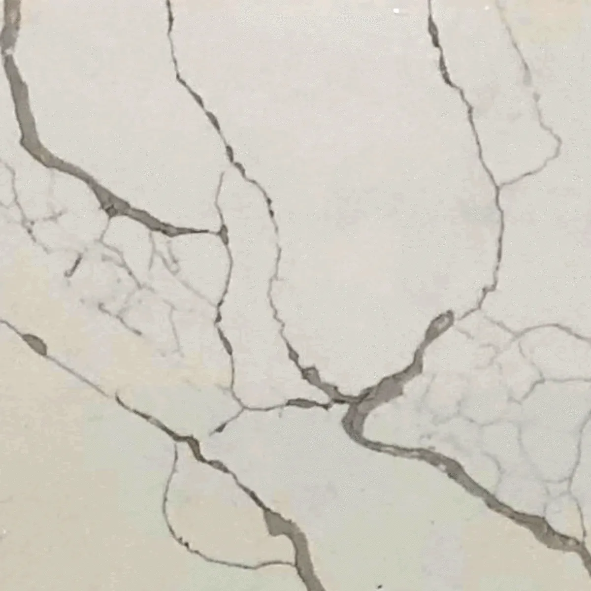 Closeup image of Aggranite Quartz Calacatta Tree Cream Quartz countertop slab
