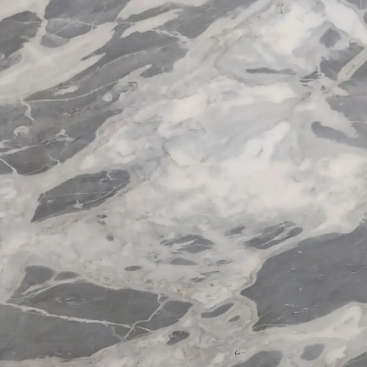 Closeup image of Calcutta Supreme Grey Marble countertop slab