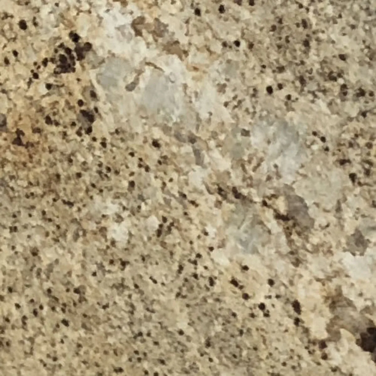 Closeup image of Colonial Cream Beige Granite countertop slab