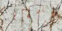 Closeup image of Cristallo Sirius Cream Quartzite countertop slab