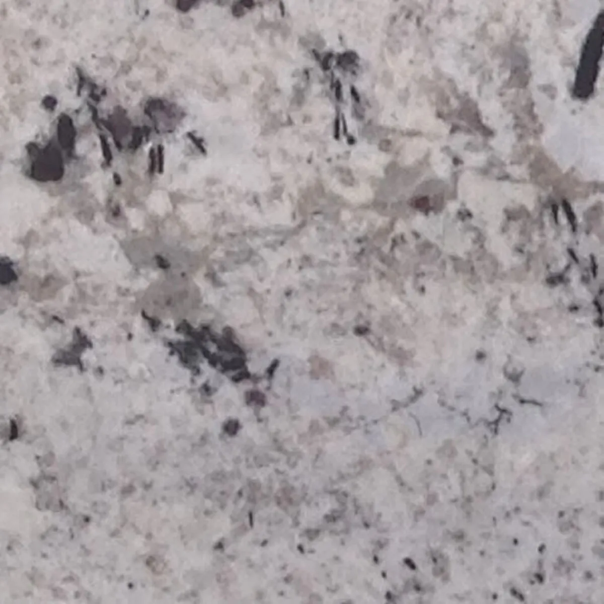 Closeup image of Galaxy White White Granite countertop slab