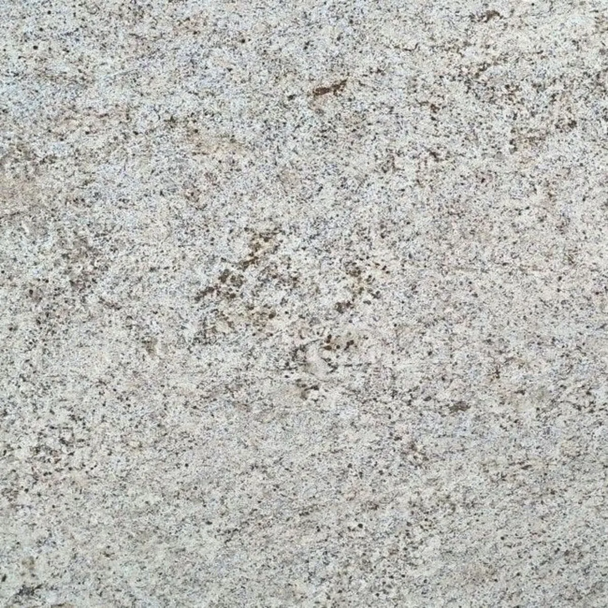 Closeup image of Giallo Verona Cream Granite countertop slab