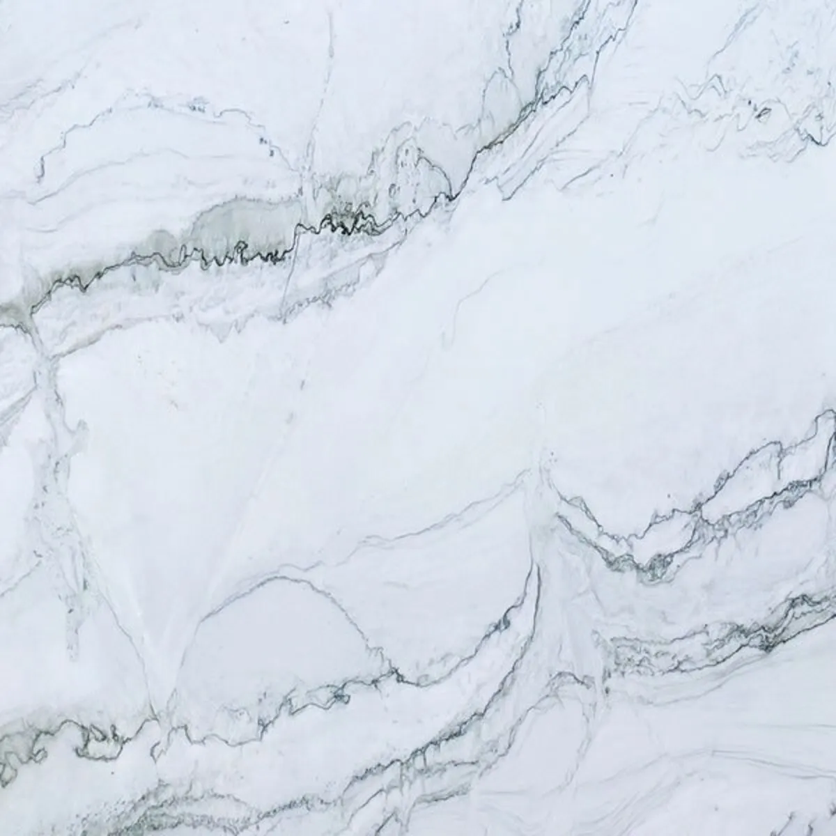 Closeup image of Infinity White White Quartzite countertop slab