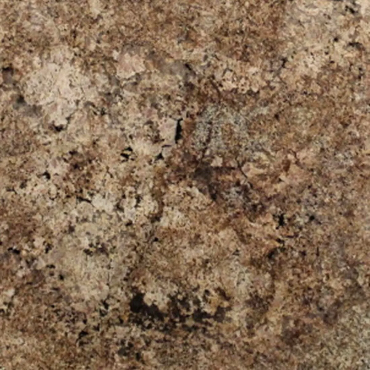 Closeup image of Ivory Coast Brown Granite countertop slab